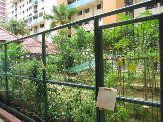 Blk 438 Ang Mo Kio Avenue 10 (Ang Mo Kio), HDB 4 Rooms #50062